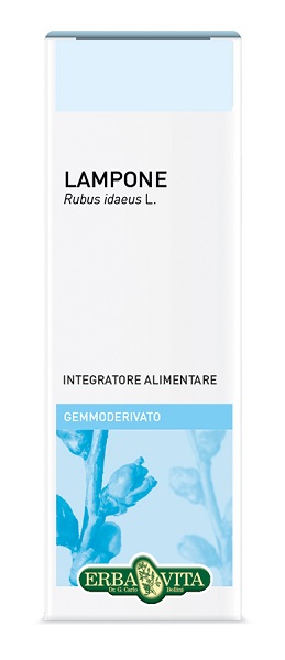 Gemmoderivato lampone 50ml