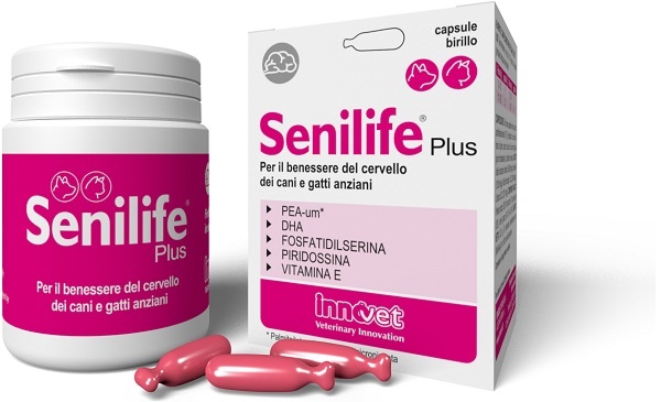 Senilife plus 30cps