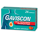 immagine di GAVISCON 250 mg + 133